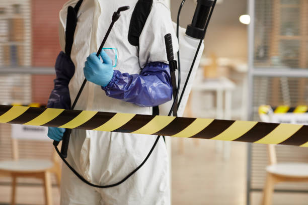 Professional Sewage Cleanup technician working in Brush Creek, TN